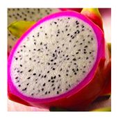 /vegetables_fruits/vietnam_pitaya_316.html