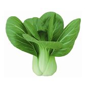 有机油菜礼盒 有机蔬菜 绿色健康蔬菜 农场直供 蔬菜配送 4斤装