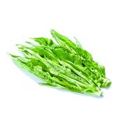 有机油麦菜礼盒 有机蔬菜 鲜嫩清香 农场直供 蔬菜配送 4斤装