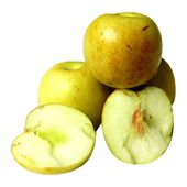 /vegetables_fruits/winter_date_350.html