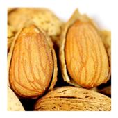 /snack_food/xingjiang_almond_408.html