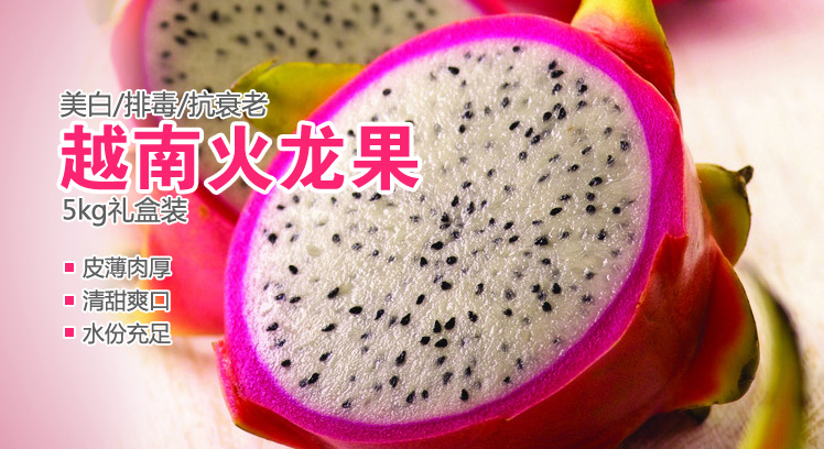 越南火龙果