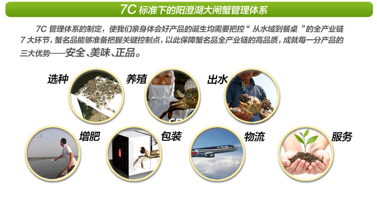 阳澄湖大闸蟹 蟹名品 豪华礼盒10只装 5699_12