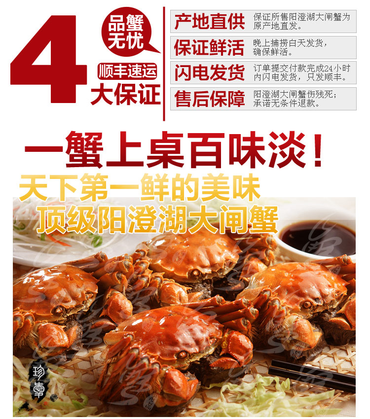 阳澄湖大闸蟹 蟹名品 豪华礼盒10只装 5699_0