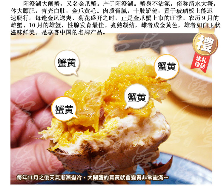 阳澄湖大闸蟹 蟹名品 豪华礼盒10只装 5699_2