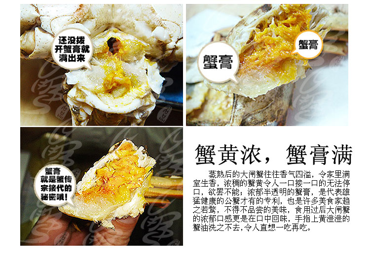 阳澄湖大闸蟹 蟹名品 豪华礼盒10只装 5699_2
