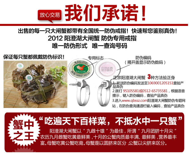 阳澄湖大闸蟹 蟹名品 豪华礼盒10只装 5699_4