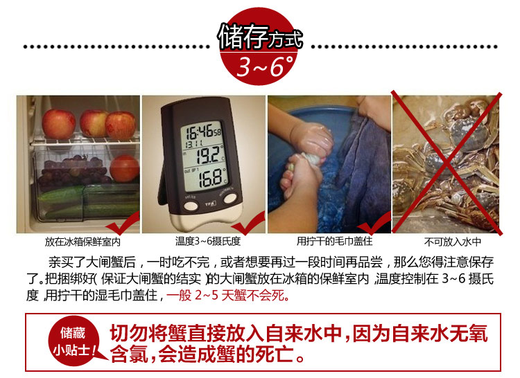 阳澄湖大闸蟹 蟹名品 豪华礼盒10只装 5699_7