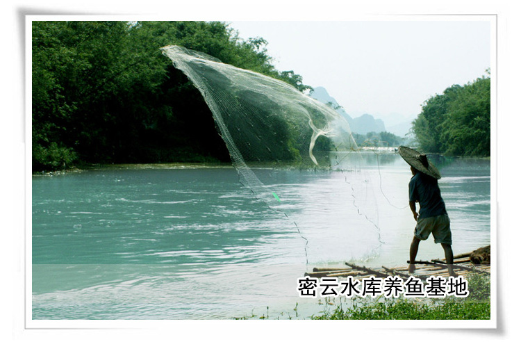 密云水库野生满籽公鱼3000g盒装_8