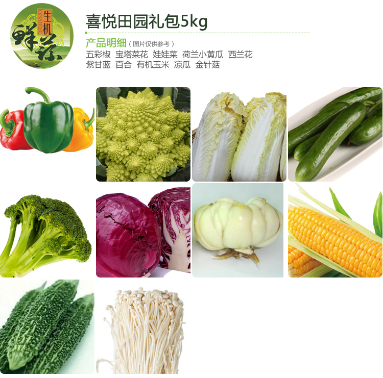 喜悦田园礼包 新鲜绿色蔬菜 无公害有机 送礼最佳选择 蔬菜配送_1