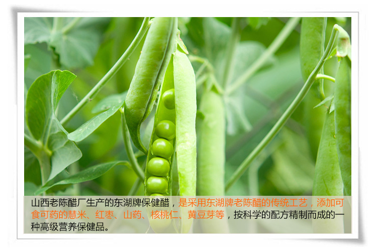 东湖保健醋口服液礼盒 10ML*30盒装_9