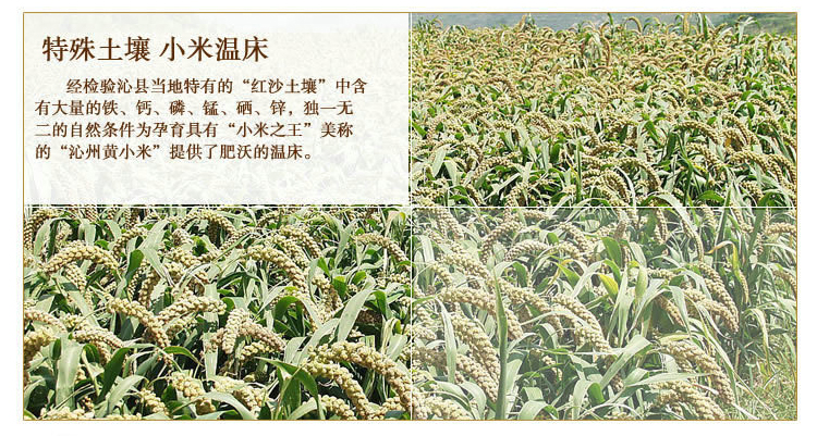 沁州黄小米(一级) 农家小米 有机小米 农家贡米 杂粮特产_6