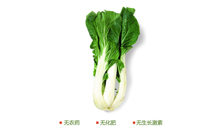 有机奶油白菜礼盒 有机蔬菜 农场直供 蔬菜配送 4斤装_0