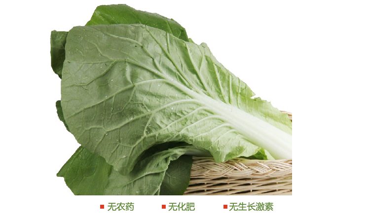 有机快菜礼盒 有机蔬菜 无农药无公害 农场直供 蔬菜配送 4斤装_0