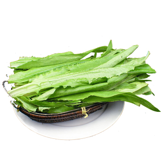 有机油麦菜礼盒 