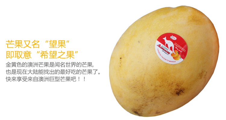 澳洲芒果1000g_2