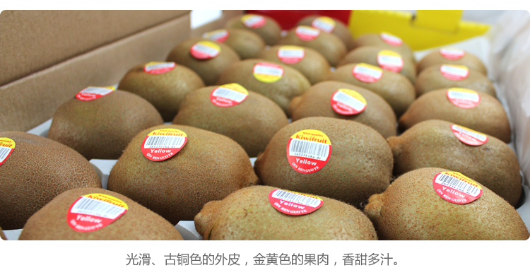 国产黄金奇异果 25-27个/箱 约重3kg_2